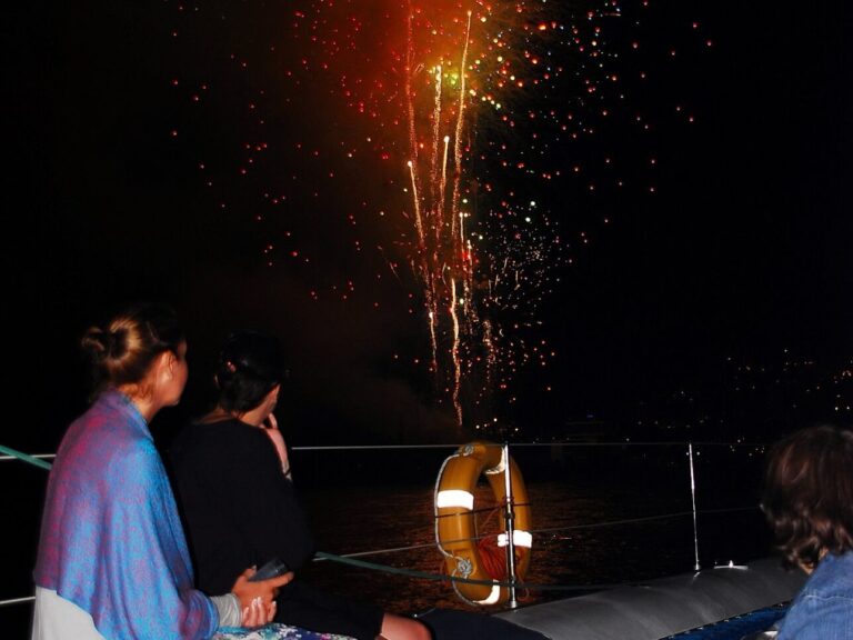 New Year's Eve Trip on Seaborn Catamaran Watch the fabulous new years firework display with comfort and stability on board Seaborn Catamaran.